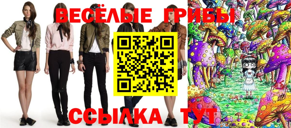Галлюциногенные грибы GOLDEN TEACHER Губаха